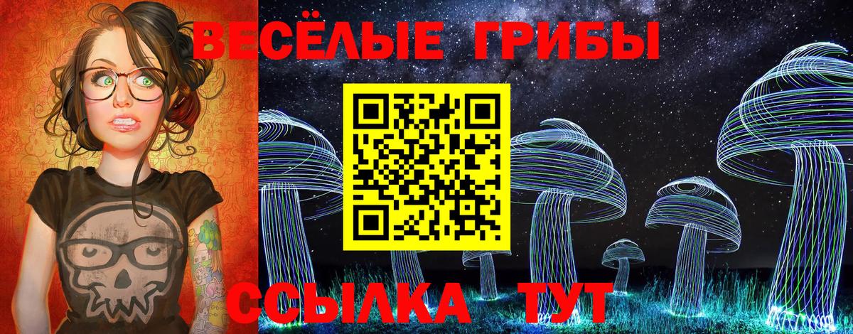 Галлюциногенные грибы Psilocybe Орск