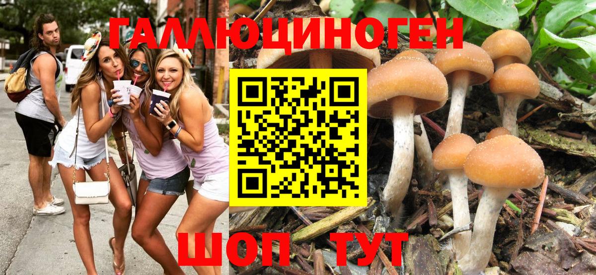 Псилоцибиновые грибы Magic Shrooms  Вход с VPN  Орск 